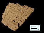 Mockley net-impressed body sherd from Dorr Site 18AN19/133-closeup shown on right.